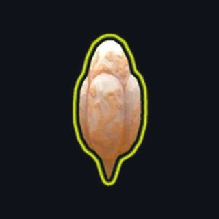 Incubadora ancestral